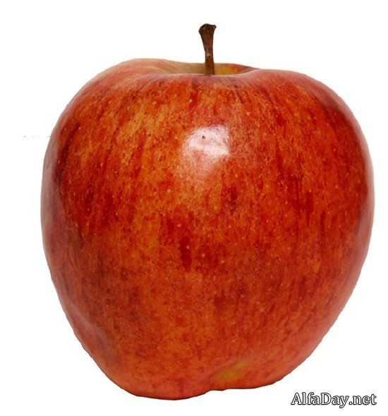 ������, ������ � ������� - ������� �� ���������� ����