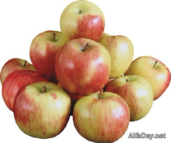 ������, ������ � ������� - ������� �� ���������� ����