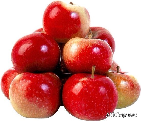 ������, ������ � ������� - ������� �� ���������� ����