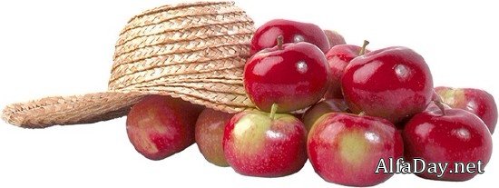 ������, ������ � ������� - ������� �� ���������� ����