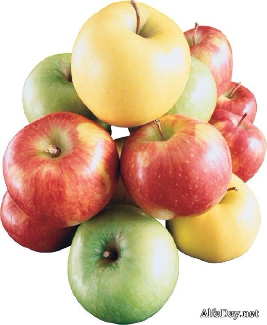 ������, ������ � ������� - ������� �� ���������� ����