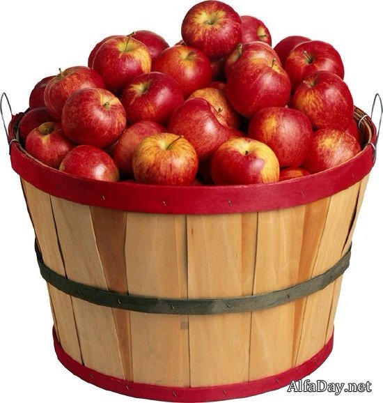 ������, ������ � ������� - ������� �� ���������� ����