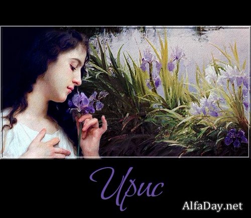 ���� - ����-������