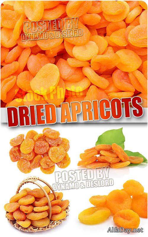 ������ - ��������� �������