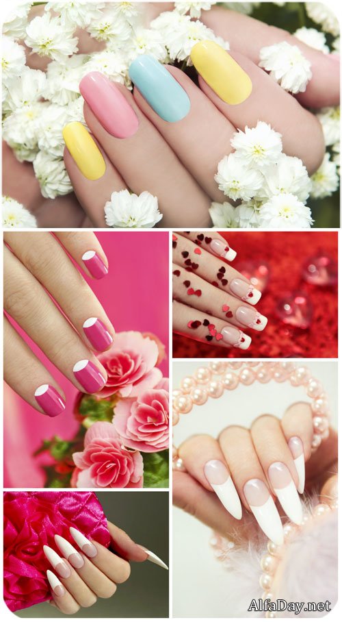 �������, ������� ���� �� ���� ������ / Manicure, female hands - Stock Photo