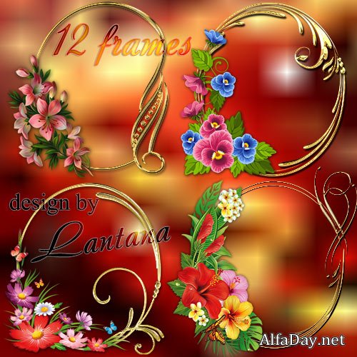 �����-������ - ����� ������ � ������� ������