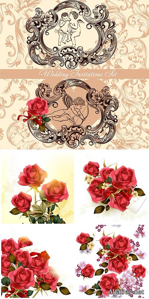 ��������� �����������, ���� � ������� / Wedding invitation, rose vector