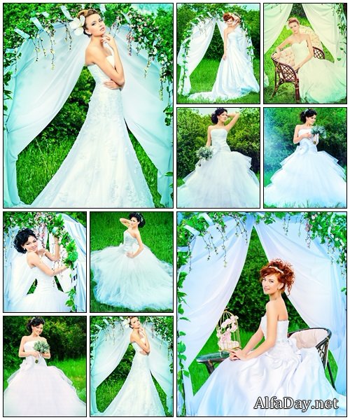 Glamorous bride, part 15 - Stock Photo