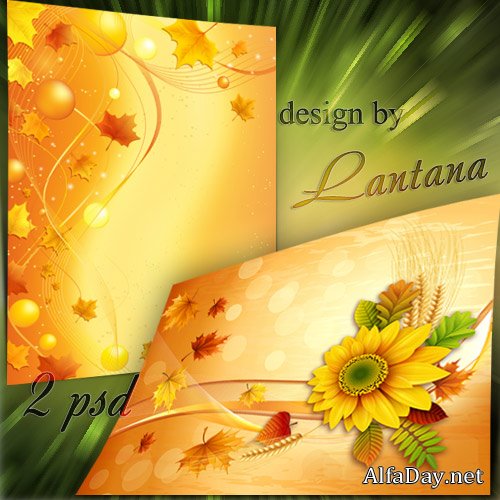 ������������ ���� - ������� ��������