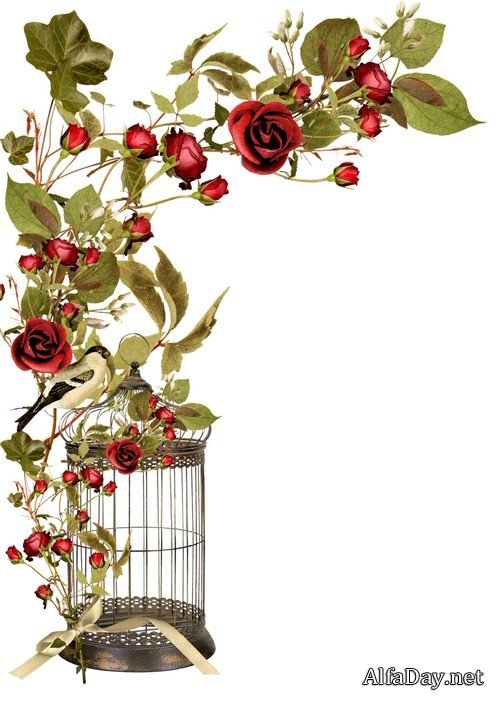 ����� �� ��� - ����� ��������� ��� ������������ � ��������