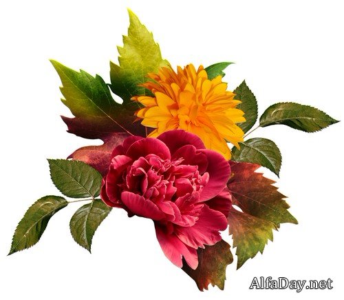 ���� � �������� �������� - ��������� ���������� � �������� �� ���������� ����