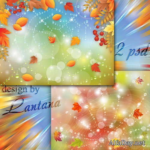 ������������ ���� - ������� �������