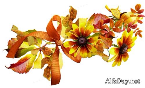 ������� ����� - ������� �� ���������� ����