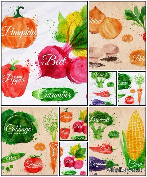 Vegetables watercolor radishes, onions, potatos - vector stock