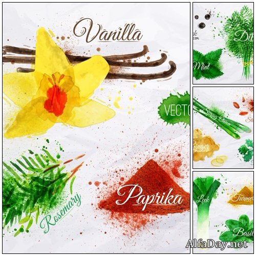 Spices herbs watercolor vanilla, rosemary, paprika - vector stock