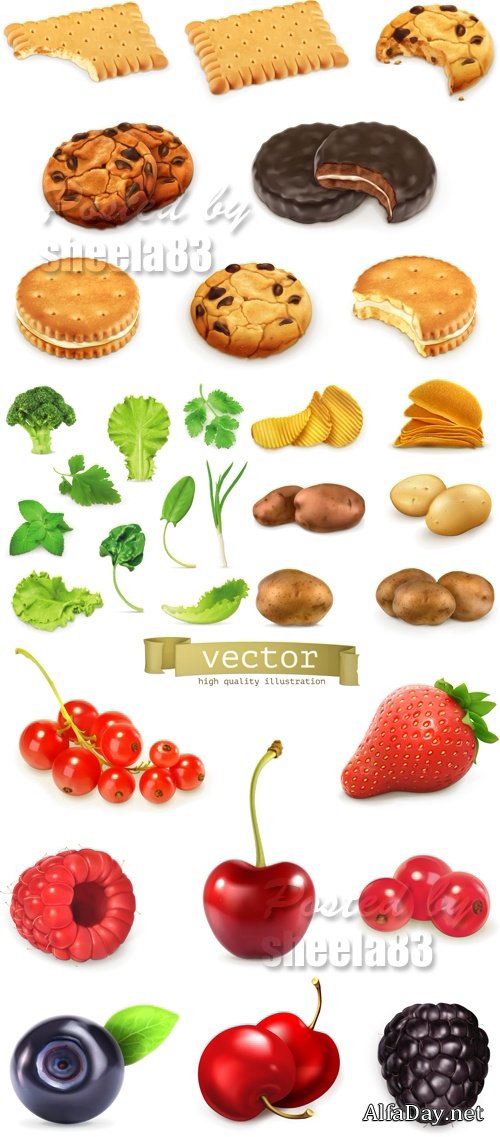 Realistic Food Vector