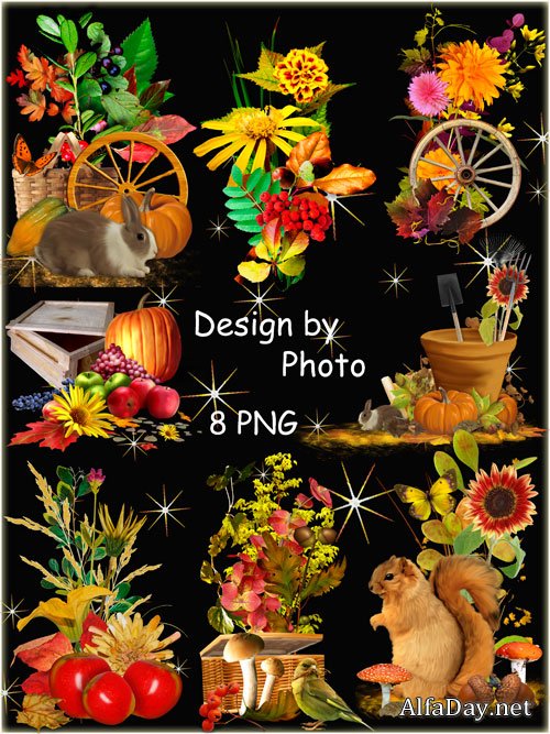 ����� ������� ��������� ��� �������� - ���� �����