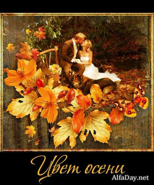 ���� ����� - ����� ��������� ��� ����������� �����