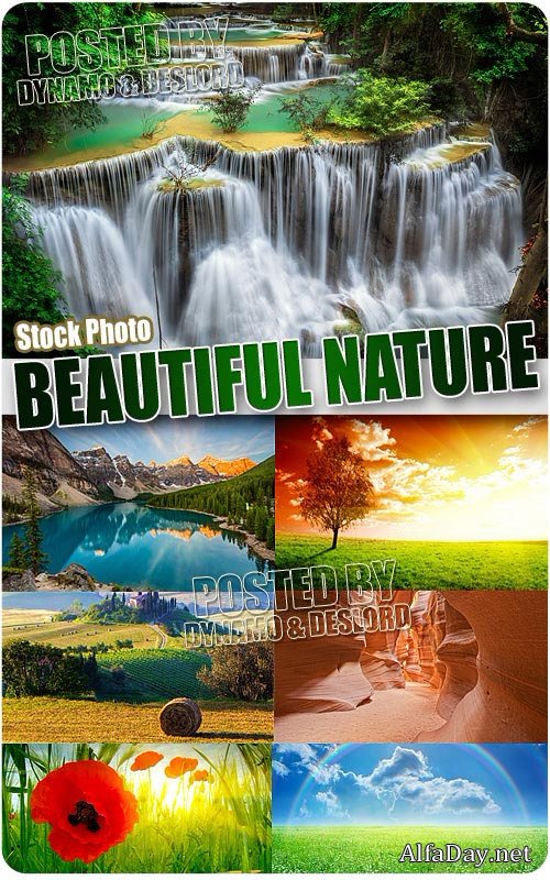 ���������� ������� - ��������� �������