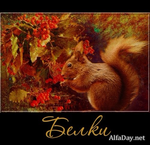 ����� ������� ���... - ������� �� ���������� ����