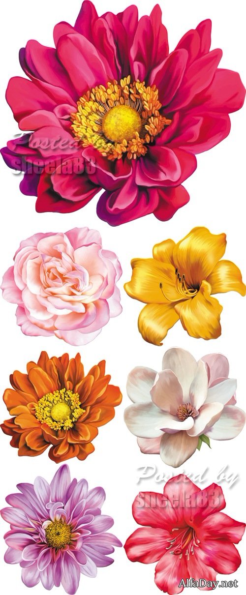 Realistic Flowers Vector