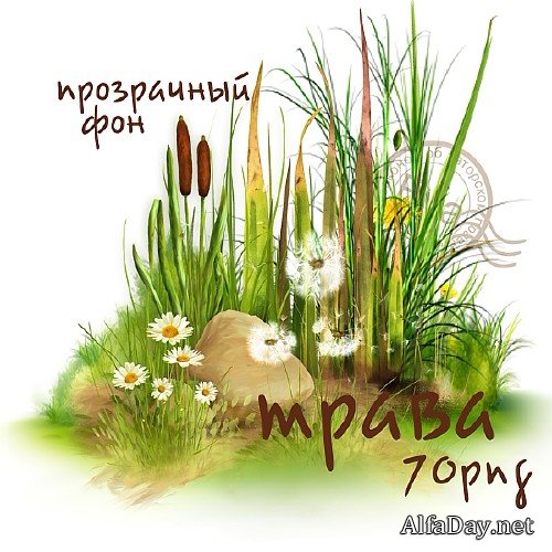 ������� - �����