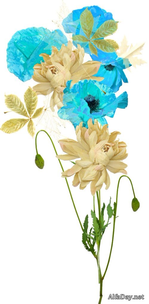 ������ ����� - ����� ��������� ��� ����������� �����