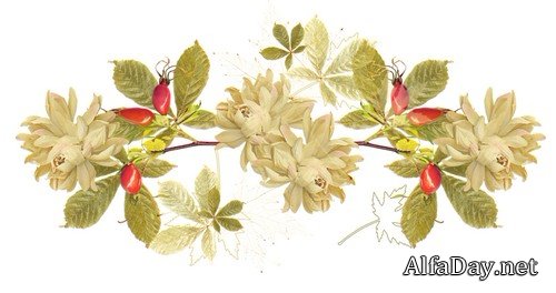 ������ ����� - ����� ��������� ��� ����������� �����