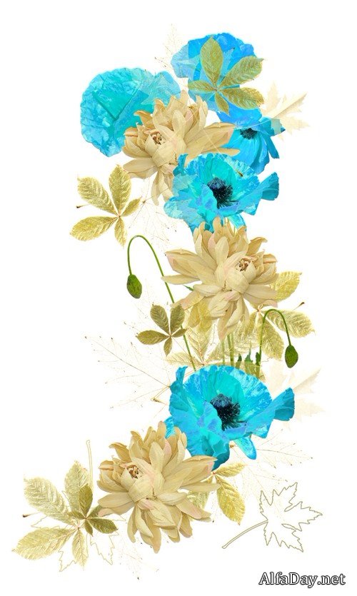 ������ ����� - ����� ��������� ��� ����������� �����