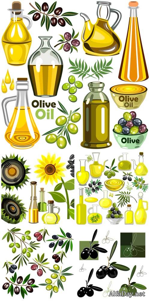 Olives, olive oil vector
