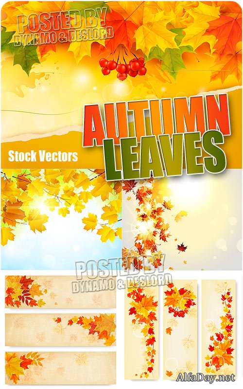 ������� ������ - ��������� �������