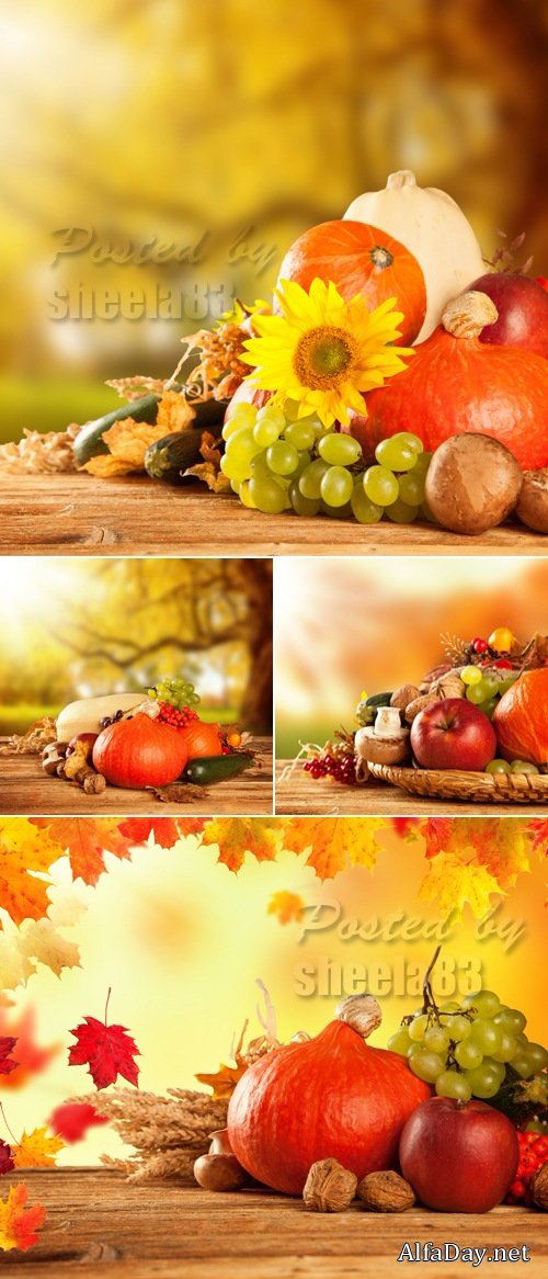 Stock Photo - Autumn Nature Cards