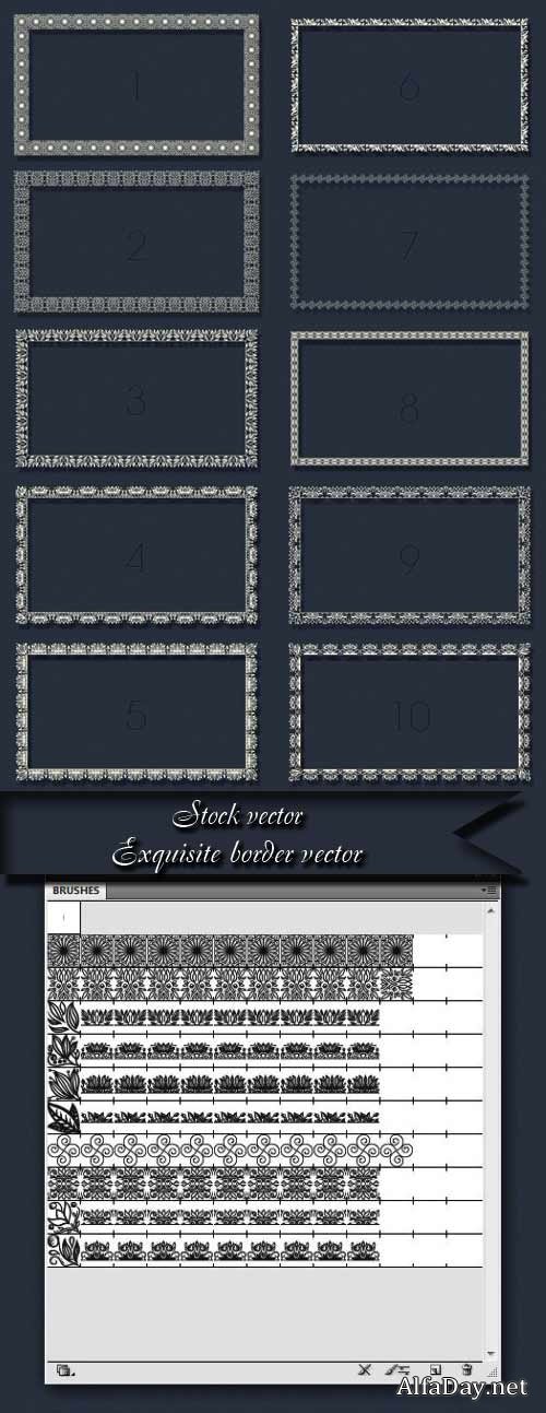 Exquisite border vector