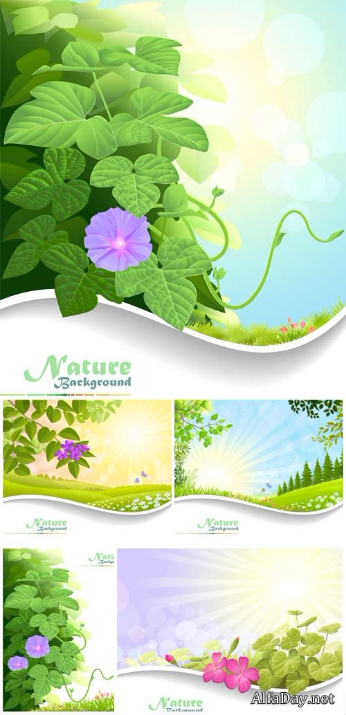 Natural backgrounds, vector backgrounds with flowers
