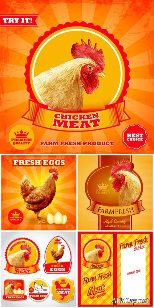 Vector labels and backgrounds with chicken