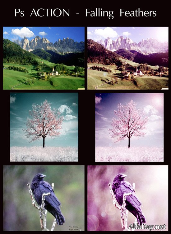 ����� ��� Photoshop - ������ ���������