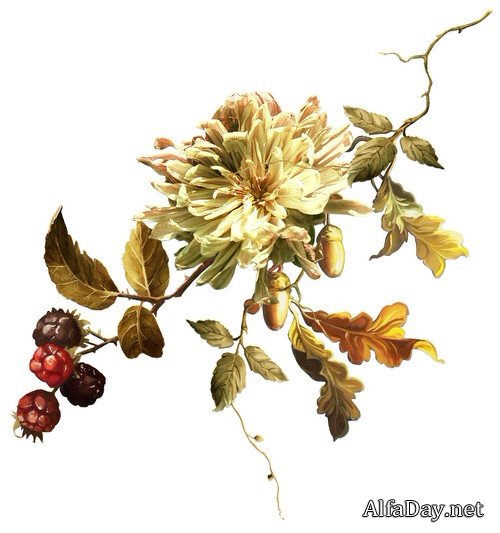 ��������� ����� - ����� � �������� � �������� � ������� � ��������� �����