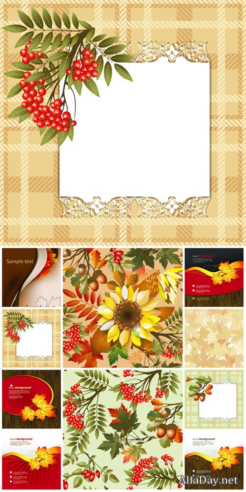 Autumn vector, yellow leaves, rowan, sunflower