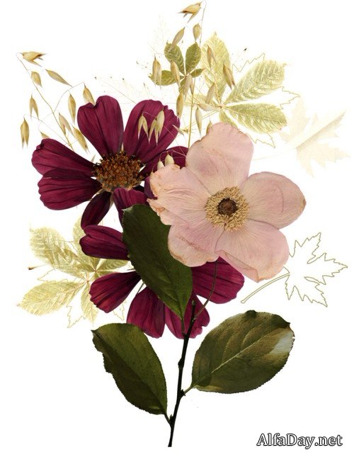 ��������� ����� - ������� �������� � ������� ��� ����������