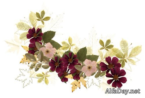 ��������� ����� - ������� �������� � ������� ��� ����������