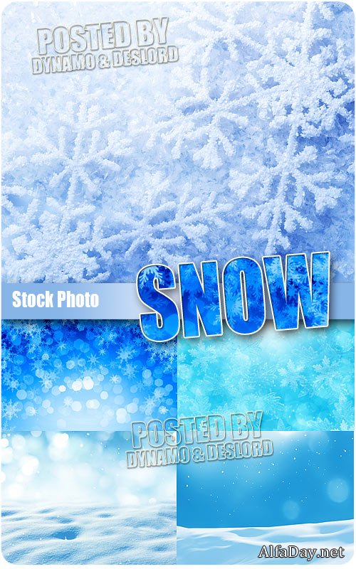 ���� - ��������� �������