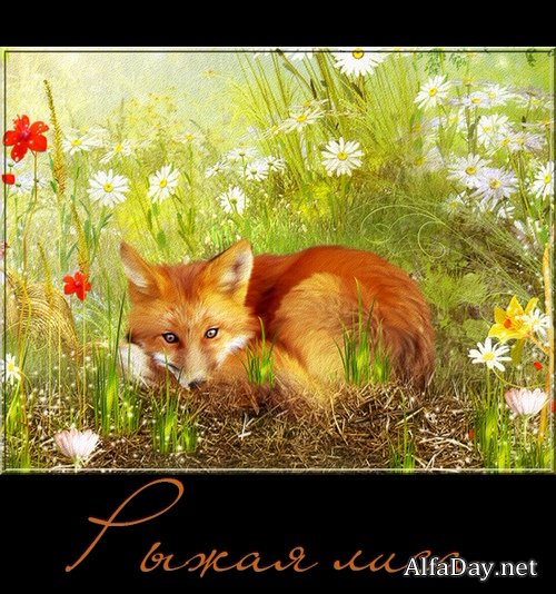 ���� - ������� �� ���������� ����