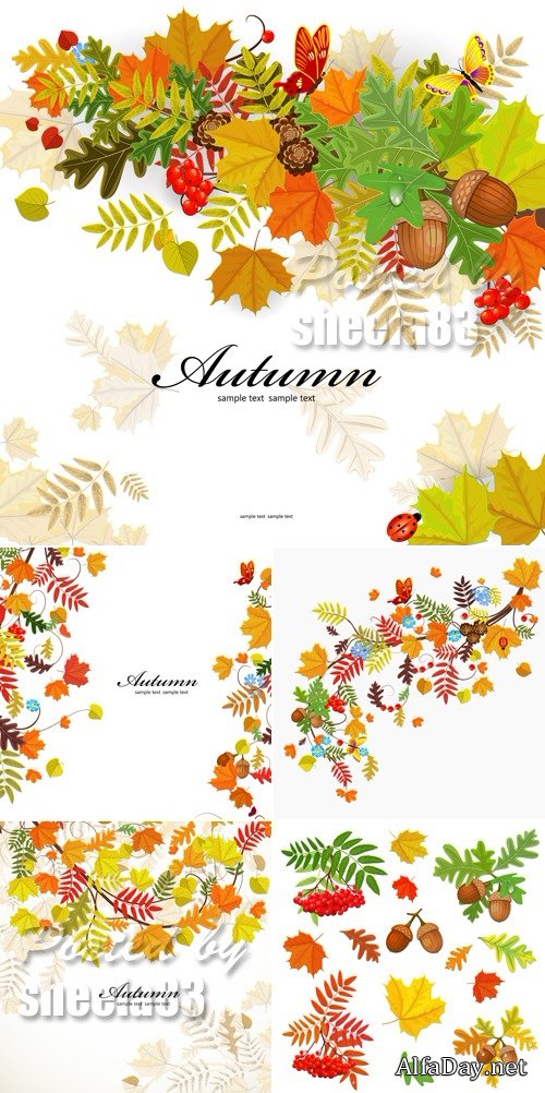 Autumn Leaves Backgrounds Vector 9