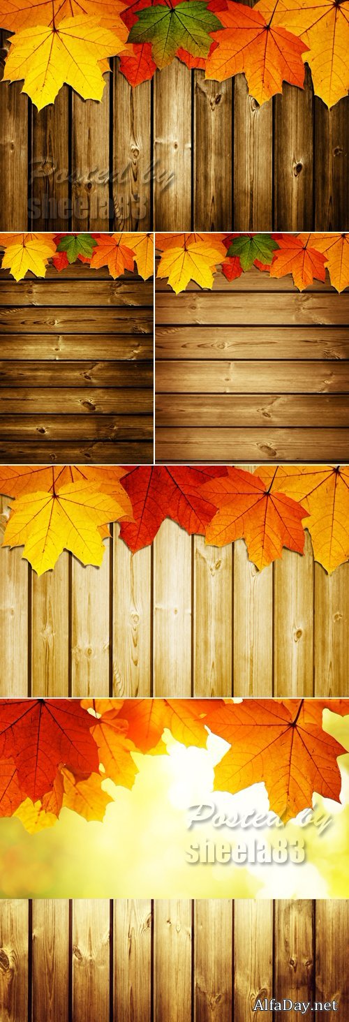 Stock Photo - Autumn Leaves on Wooden Background 6
