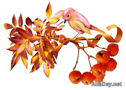 ����� ����� - �����, �����, ����� �� ���������� ����