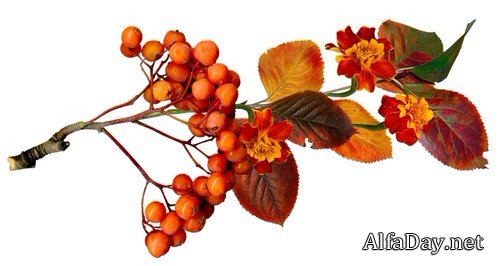 ����� ����� - �����, �����, ����� �� ���������� ����