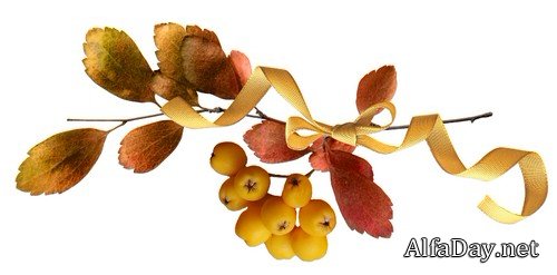 ����� ����� - �����, �����, ����� �� ���������� ����