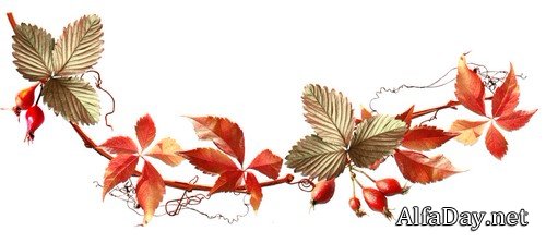 ����� ����� - �����, �����, ����� �� ���������� ����