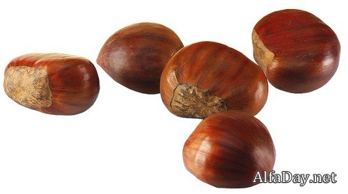 ����� ����� - �����, �����, ����� �� ���������� ����