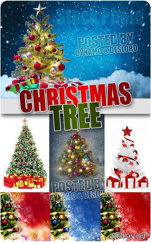 ���������� ���� - ��������� �������